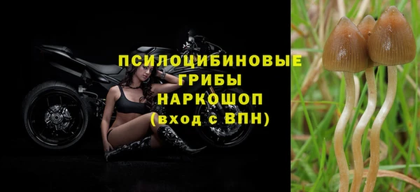 героин Верея
