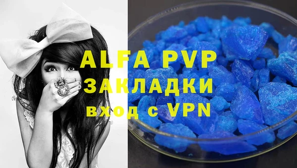 стафф Волоколамск
